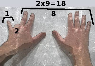 9 x 2 avec les doigts et les mains